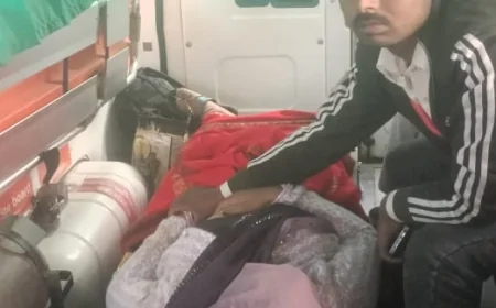 हरपालपुर थाना क्षेत्र में लमकन डिघासा रोड पर ऑटो पलटने से दम्पति घायल