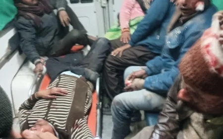 तेज रफ्तार पिकप डाला पलटने से 13 घायल, जिला अस्पताल रेफर