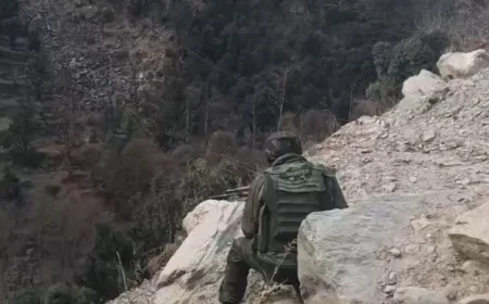 ऑपरेशन त्राशी-1: रातभर रुका अभियान, सुबह फिर शुरू हुई आतंकियों की तलाश, ग्रेनेड हमले में आठ जवान घायल