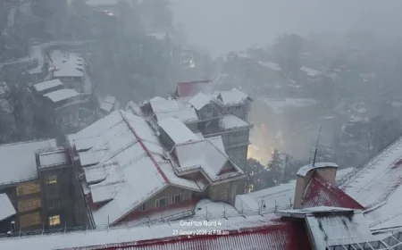 शिमला और ऊंचाई वाले इलाकों में सीजन की पहली बर्फबारी, किसानों और बागवानों को राहत