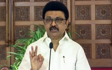 ‘न तब, न अब, आगे भी नहीं देंगे हिंदी को जगह’: भाषा शहीद दिवस पर बोले एमके स्टालिन