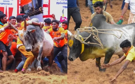 जल्लीकट्टू दौरान मृत्यु पर परिवारों को 10 लाख रुपये सहायता का ऐलान, AIADMK प्रमुख ई. पलानीस्वामी ने बड़ा प्रस्ताव रखा