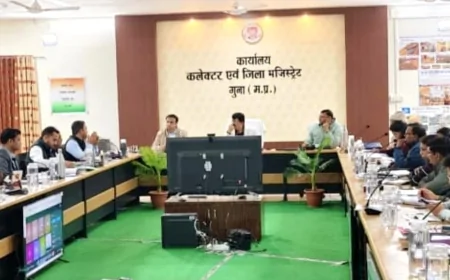 कलेक्टर की अध्यक्षता में समय-सीमा बैठक आयोजित, शासकीय योजनाओं की समीक्षा, बोर्ड परीक्षाओं, कृषि कार्ययोजना एवं मोबाइल कोर्ट पर हुई चर्चा