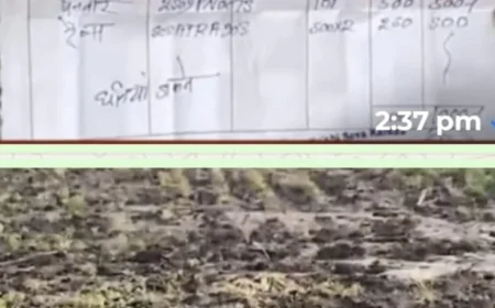 अन्नदाता पर 'दवाई' का कहर! गलत कीटनाशक ने जलाई धनिया की फसल, न्याय के लिए दूसरी बार जनसुनवाई पहुंचे विवश किसान