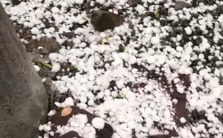 शाजापुर में मौसम का कहर, ओलावृष्टि से जनजीवन अस्त-व्यस्त