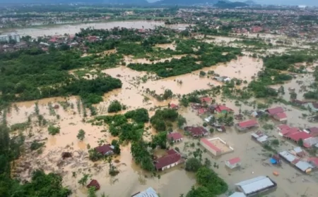 दक्षिणी अफ़्रीका में भीषण बाढ़: जलवायु परिवर्तन ने तबाही को और तीव्र बनाया, 100 से अधिकों की मौत