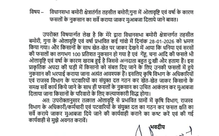 ओलावृष्टि-बारिश से फसलें बर्बाद, विधायक ने कलेक्टर को लिखा पत्र