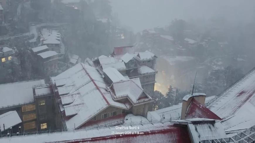 शिमला और ऊंचाई वाले इलाकों में सीजन की पहली बर्फबारी, किसानों और बागवानों को राहत