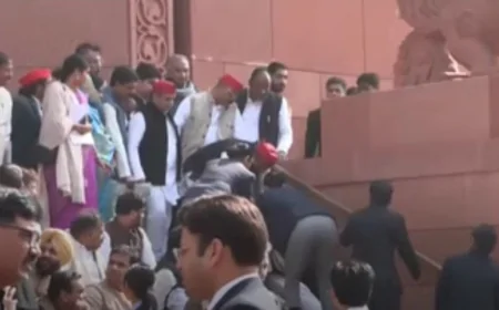 संसद की सीढ़ियों पर फिसले शशि थरूर, अखिलेश यादव ने थामकर बचाया गिरने से