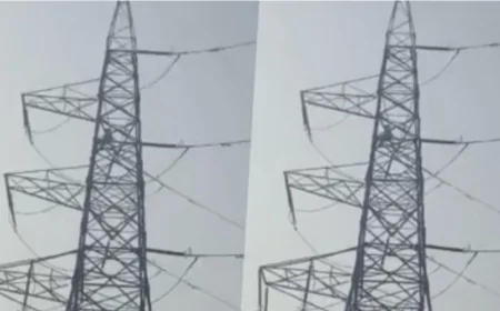 वजीराबाद में हाई टेंशन खंभे पर चढ़ा युवक, पुलिस-दमकल की घंटों की मशक्कत से सुरक्षित बचाया गया