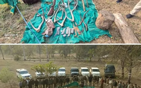 गश्ती करते हुए वनकर्मियों पर हमला करने और अवैध सागौन की लकड़ी काटने पर एफ आई आर दर्ज