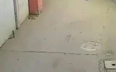 मैनपुरी में शिक्षिका से कथित दरिंदगी, आरोपी छात्र पर गंभीर आरोप; कानून-व्यवस्था पर उठे सवाल