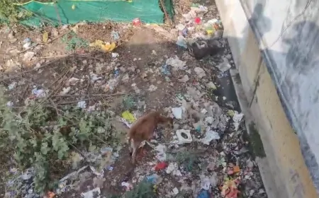 दुर्गा कॉलोनी की बदहाली ने खोली नगर पालिका गुना की पोल, स्वच्छ भारत अभियान बना काग़ज़ी मज़ाक