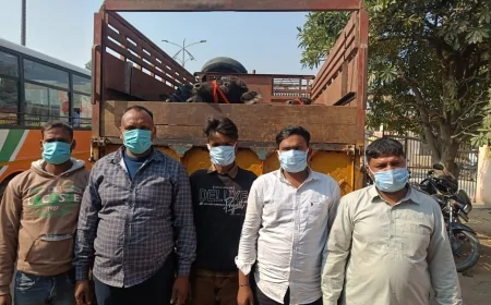 39 पशुओं से भरी डीसीएम पुलिस ने पकड़ी,पांच तस्कर गिरफ्तार