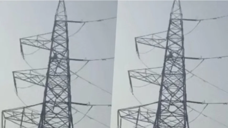 वजीराबाद में हाई टेंशन खंभे पर चढ़ा युवक, पुलिस-दमकल की घंटों की मशक्कत से सुरक्षित बचाया गया