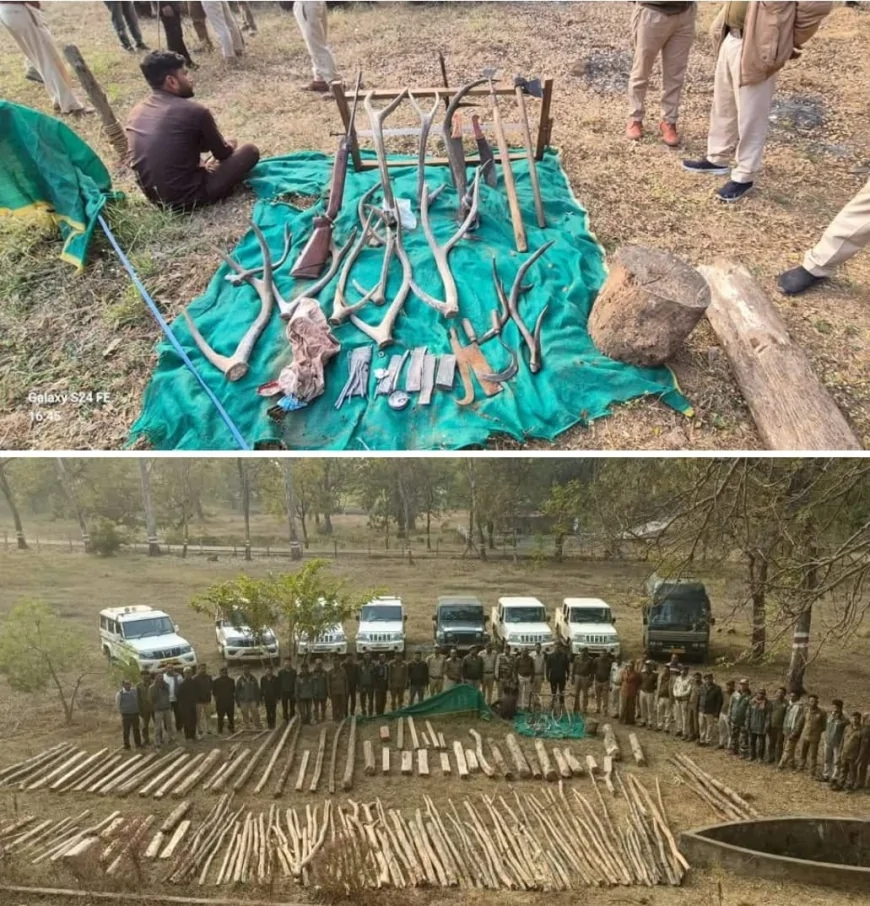 गश्ती करते हुए वनकर्मियों पर हमला करने और अवैध सागौन की लकड़ी काटने पर एफ आई आर दर्ज