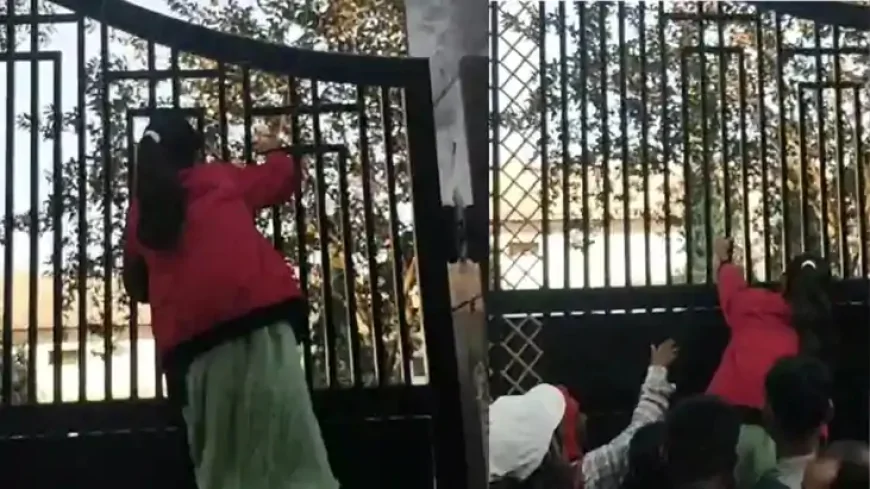 CHAOS DURING MATRIC EXAM, PARENTS REVEALED SCENE OF STUDENTS SCALING THE BOUNDARY WALL TO ENTER
