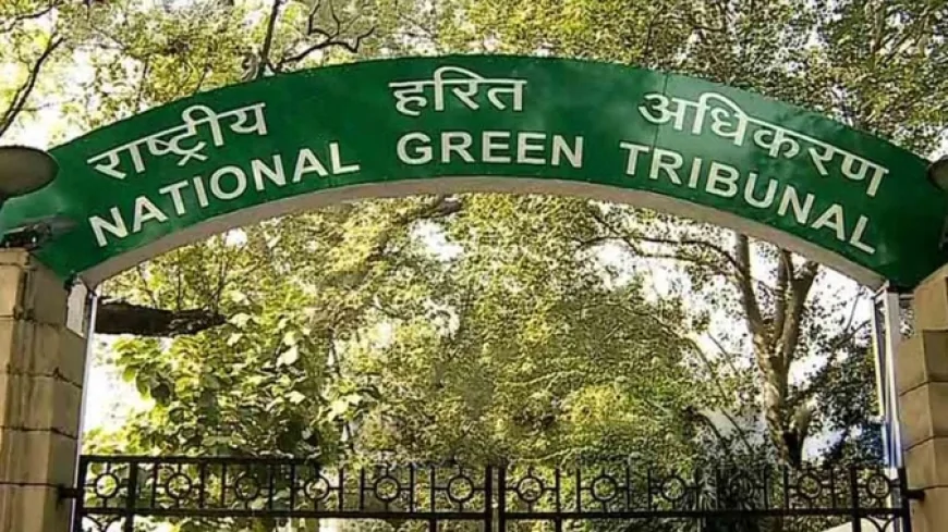ग्रेट निकोबार मेगा प्रोजेक्ट को एनजीटी की हरी झंडी, विकास बनाम पर्यावरण पर फिर छिड़ी बहस