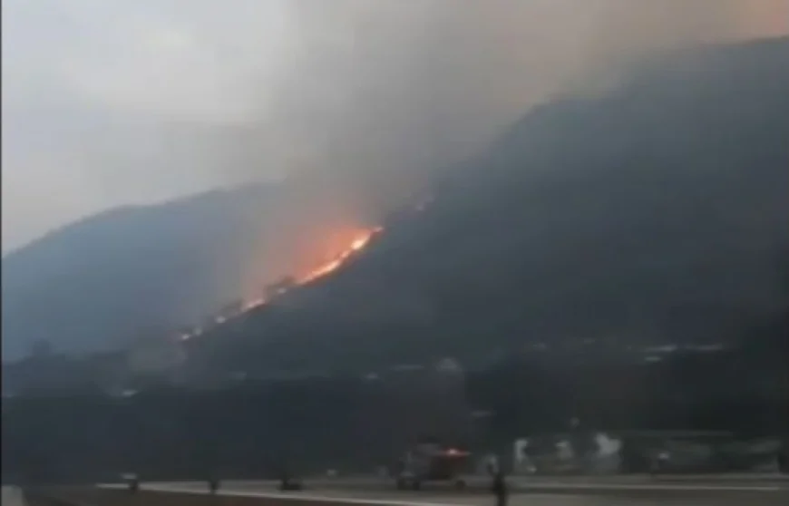 वायुसेना की मदद से पूर्वोत्तर में टला बड़ा संकट: 1.39 लाख लीटर पानी से बुझी भीषण आग, द्जूकू वैली में ऑपरेशन जारी