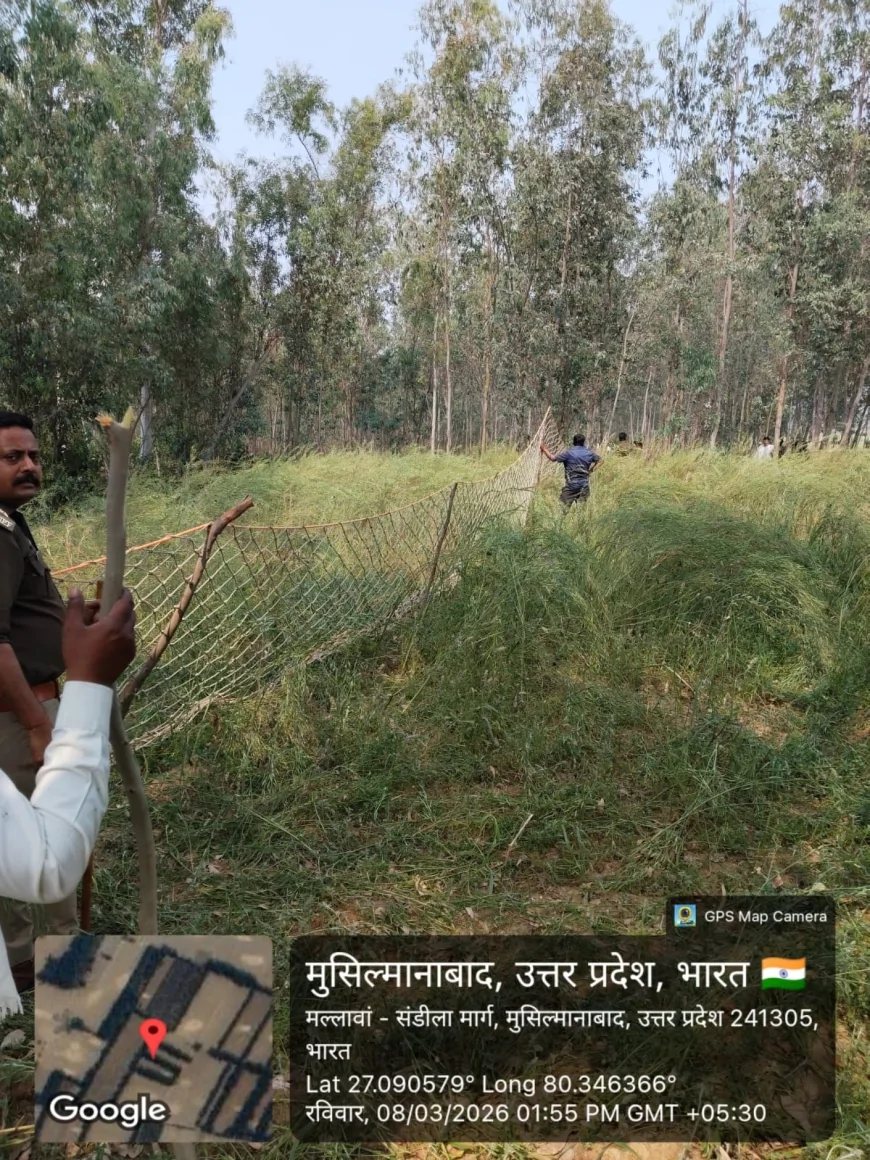 कछौना के खजोहना गांव में हिंसक नीलगाय का तांडव, 5 घायल; वन विभाग का रेस्क्यू ऑपरेशन रहा नाकाम