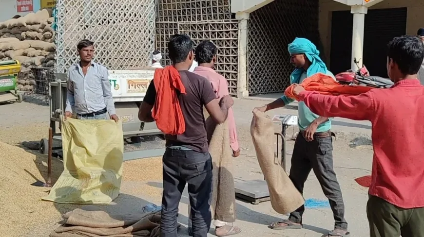शाहजहांपुर में किसानों के साथ अन्याय: बकाया भुगतान वाली एजेंसी को फिर सौंपी गई गेहूं खरीद