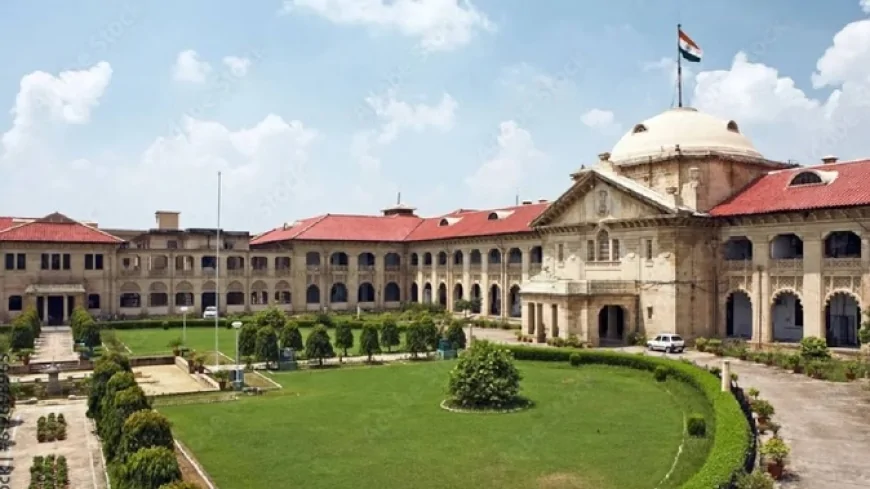 इलाहाबाद हाईकोर्ट सख्त: चाइनीज मांझे पर रोक के बावजूद बिक्री पर सरकार से मांगा जवाब