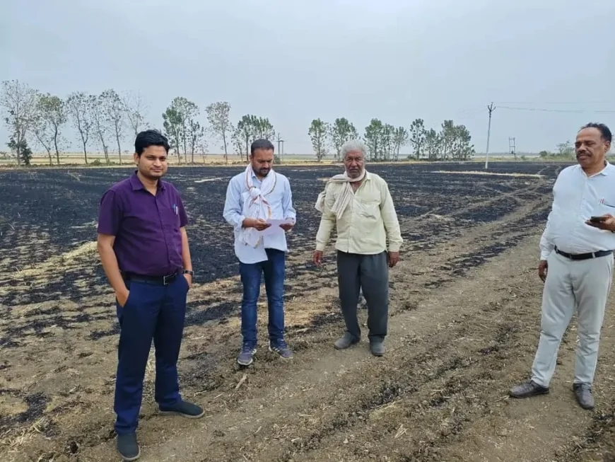 पराली जलाने पर प्रशासन सख्त : पनहेटी-कलोरा में किसानों पर कार्रवाई, प्रकरण तैयार
