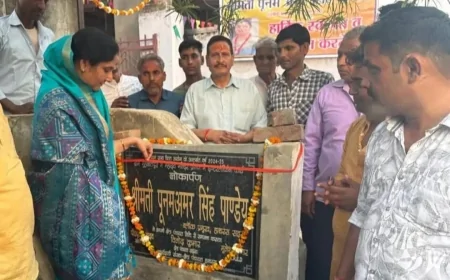 मोहब्बतपुरा में इंटरलॉकिंग सड़क का लोकार्पण, ब्लॉक प्रमुख पूनम पाण्डेय ने सुनीं ग्रामीणों की समस्याएं