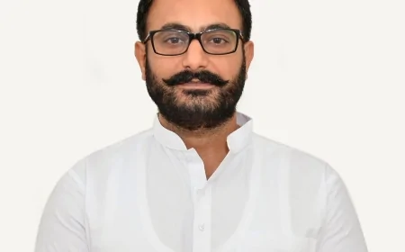 पंजाब में 90% घरों को मुफ़्त बिजली, फिर भी मुनाफ़े में पावर सेक्टर: बराड़