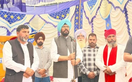 बेअदबी पर सख्त कानून को अंतिम रूप दे रही सरकार: धालीवाल