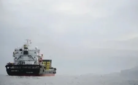 होर्मुज में टकराव के बीच ईरान की चाल, अमेरिकी दबाव के बावजूद दो जहाज पार