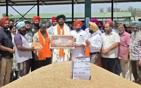 मान सरकार तैयार: गेहूं खरीद में रिश्वत और गड़बड़ी पर सख्ती – धालीवाल