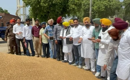 मेहता मंडी पहुंचे मंत्री ETO, खरीद व्यवस्था से जताई संतुष्टि