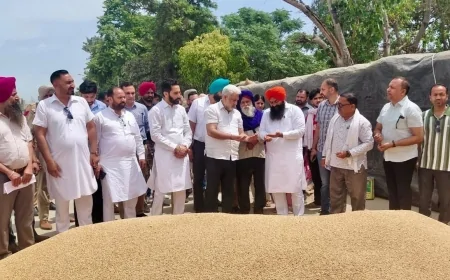पंजाब मंडियों में गेहूं खरीद तेज: 28 लाख मीट्रिक टन आवक, 24 लाख टन से अधिक खरीद—कटारूचक