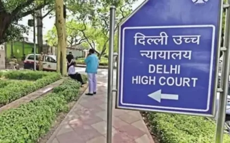 दिल्ली हाईकोर्ट की ऑनलाइन सुनवाई में व्यवधान: अशोभनीय वीडियो चलने से कार्यवाही रोकनी पड़ी