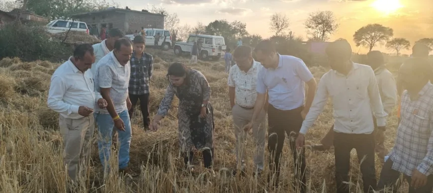 एसडीएम आरोन ने किया फसल क्षति का निरीक्षण