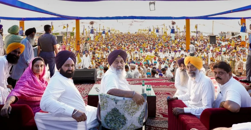 ओलावृष्टि से तबाह फसल पर अकाली दल का एक्शन प्लान, सुखबीर सिंह बादल का मान-केजरीवाल पर तीखा हमला