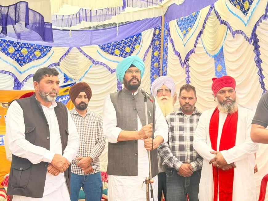 बेअदबी पर सख्त कानून को अंतिम रूप दे रही सरकार: धालीवाल