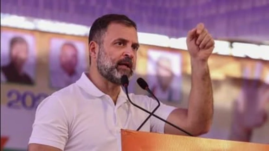 राहुल गांधी पर दोहरी नागरिकता मामले में FIR का आदेश: हाईकोर्ट ने CBI जांच के दिए निर्देश