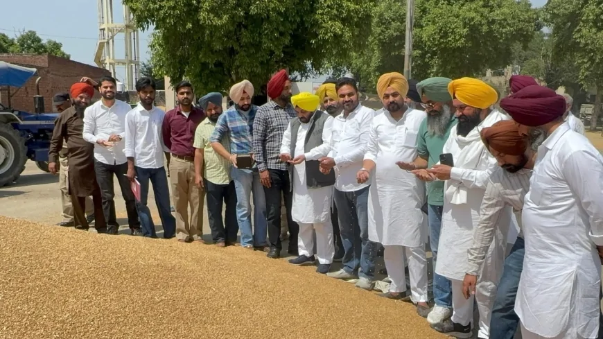 मेहता मंडी पहुंचे मंत्री ETO, खरीद व्यवस्था से जताई संतुष्टि