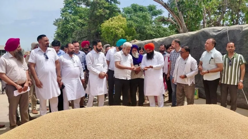 पंजाब मंडियों में गेहूं खरीद तेज: 28 लाख मीट्रिक टन आवक, 24 लाख टन से अधिक खरीद—कटारूचक