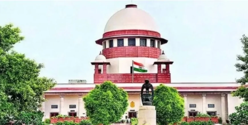 ‘चूहे खा गए रिश्वत के पैसे’: सुप्रीम कोर्ट हैरान, साक्ष्य नष्ट होने पर दोषी महिला को मिली जमानत
