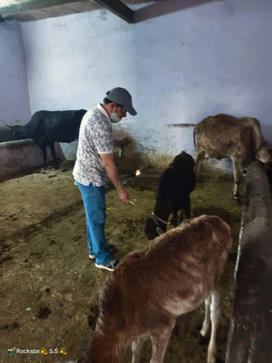 हर माह सेवा का संकल्प: नवग्रह मंदिर गौशाला में निस्वार्थ सेवा संस्थान