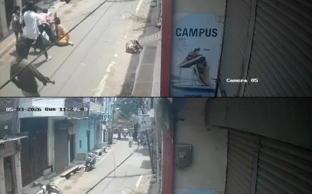 गुना में जनगणना सर्वे के दौरान विवाद: महिला कर्मचारी से मारपीट, रजिस्टर फाड़ा गया