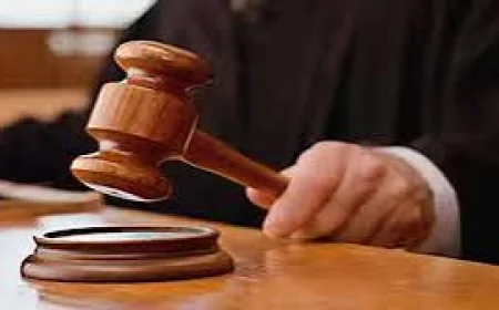 अधिकारियों को ‘माननीय’ कहने पर हाईकोर्ट की स्पष्ट टिप्पणी, तय किया संबोधन का दायरा