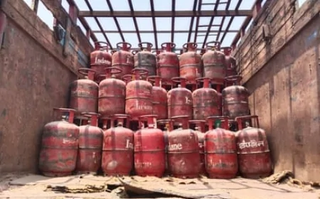 घरेलू गैस उपभोक्ताओं को बड़ा झटका: नए LPG कनेक्शन पर रोक, सिर्फ ट्रांसफर की मिलेगी सुविधा