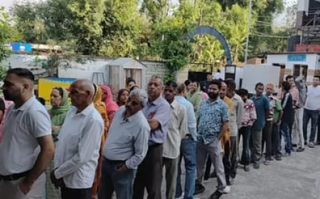 हिमाचल निकाय चुनाव: धर्मशाला में सुबह 11 बजे तक 26.95% मतदान, 51 शहरी निकायों में वोटिंग जारी