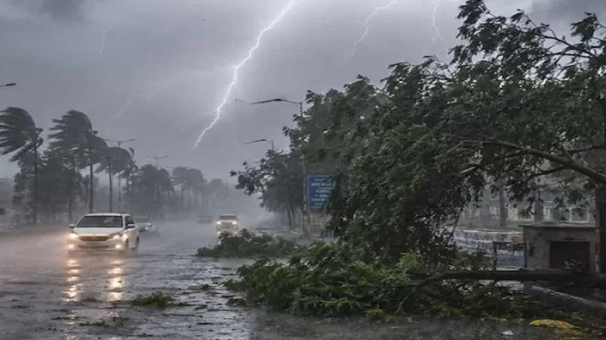 आंधी-तूफान से दहला उत्तर प्रदेश, 63 लोगों की मौत; 38 जिलों में मौसम विभाग का अलर्ट