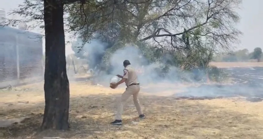 खेत में लगी आग पर एफआरव्ही स्टाफ ने ग्रामीणों की मदद से पाया काबू, गांव में फैलने से पहले आग बुझाकर संभावित नुकसान को रोका