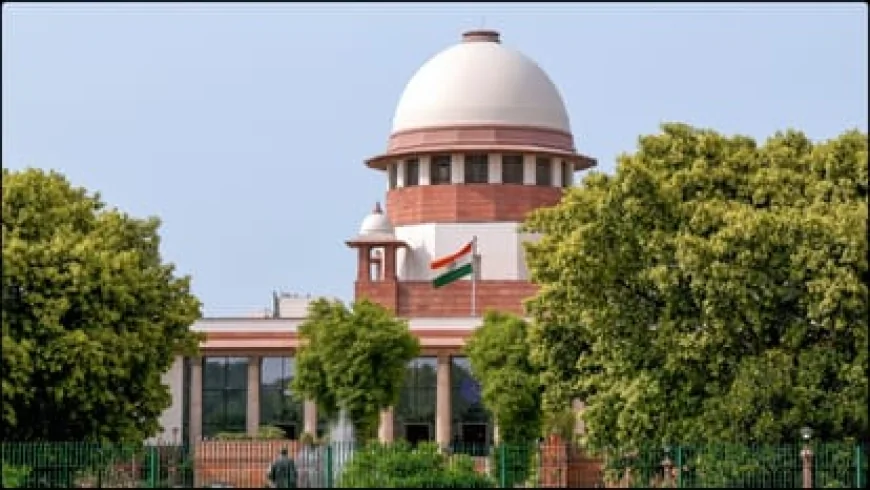 चंबल में अवैध खनन पर सुप्रीम कोर्ट सख्त, UP-MP और राजस्थान सरकार को फटकार; फर्जी नंबर वाहनों पर कार्रवाई के निर्देश